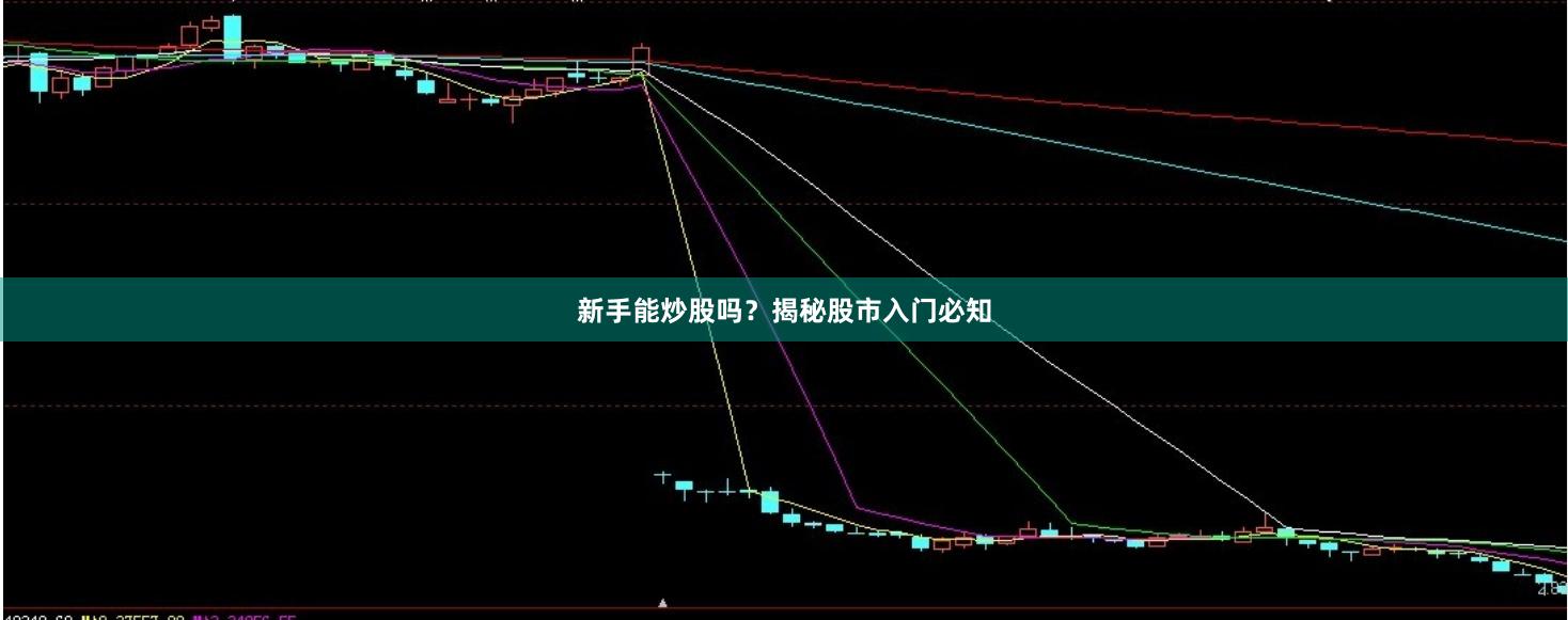 新手能炒股吗？揭秘股市入门必知
