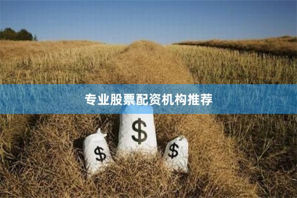 专业股票配资机构推荐